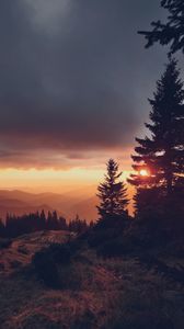 Preview wallpaper spruce, sunset, sun, mountains, distance