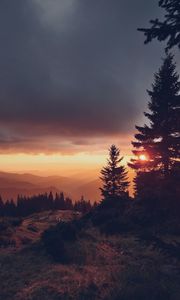 Preview wallpaper spruce, sunset, sun, mountains, distance