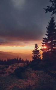 Preview wallpaper spruce, sunset, sun, mountains, distance