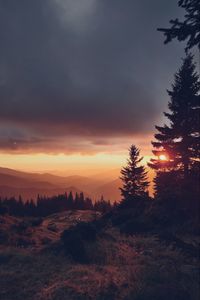 Preview wallpaper spruce, sunset, sun, mountains, distance