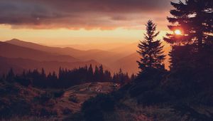 Preview wallpaper spruce, sunset, sun, mountains, distance