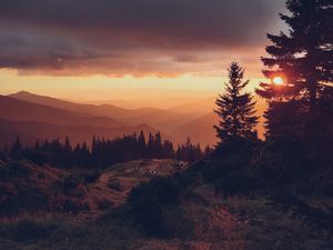 Preview wallpaper spruce, sunset, sun, mountains, distance