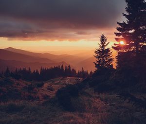 Preview wallpaper spruce, sunset, sun, mountains, distance