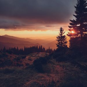 Preview wallpaper spruce, sunset, sun, mountains, distance