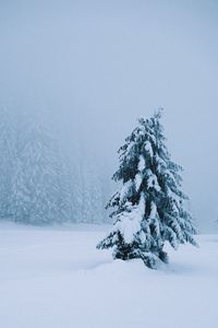 Preview wallpaper spruce, tree, snow, blizzard, winter