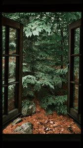 Preview wallpaper spruce, tree, stones, clouds, window