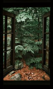 Preview wallpaper spruce, tree, stones, clouds, window