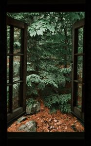Preview wallpaper spruce, tree, stones, clouds, window