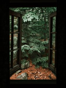 Preview wallpaper spruce, tree, stones, clouds, window