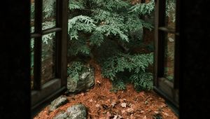 Preview wallpaper spruce, tree, stones, clouds, window