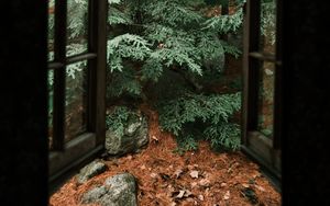 Preview wallpaper spruce, tree, stones, clouds, window