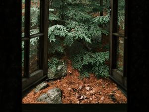 Preview wallpaper spruce, tree, stones, clouds, window