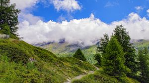Preview wallpaper spruce, trees, clouds, slope, grass