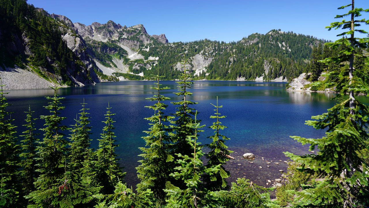 Wallpaper spruce, trees, lake, rocks, mountains