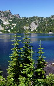 Preview wallpaper spruce, trees, lake, rocks, mountains