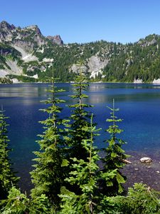 Preview wallpaper spruce, trees, lake, rocks, mountains