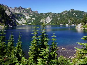 Preview wallpaper spruce, trees, lake, rocks, mountains