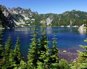 Preview wallpaper spruce, trees, lake, rocks, mountains