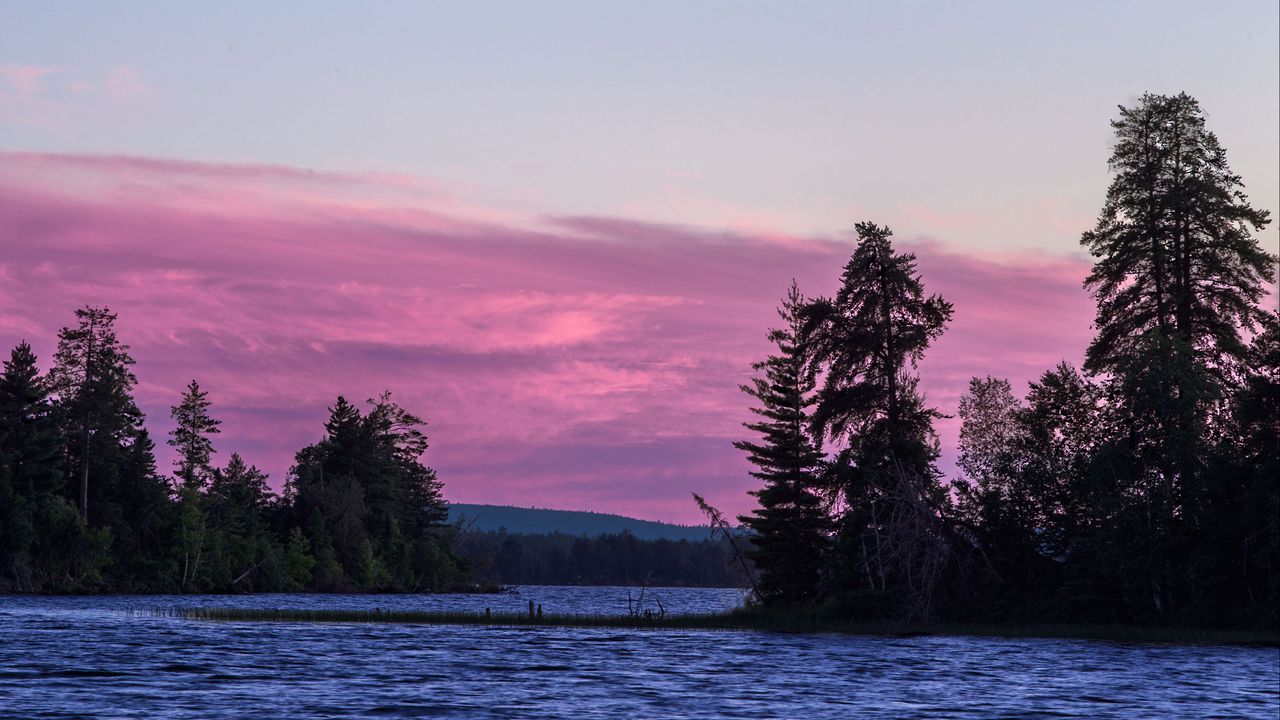 Wallpaper spruce, trees, lake, sky, water