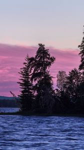 Preview wallpaper spruce, trees, lake, sky, water