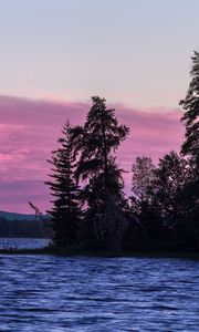 Preview wallpaper spruce, trees, lake, sky, water