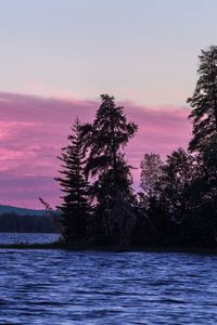 Preview wallpaper spruce, trees, lake, sky, water