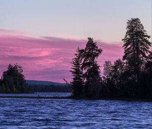 Preview wallpaper spruce, trees, lake, sky, water