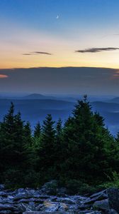 Preview wallpaper spruce, trees, moon, stones, dusk