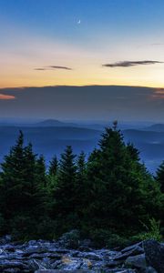 Preview wallpaper spruce, trees, moon, stones, dusk