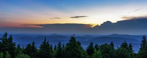 Preview wallpaper spruce, trees, moon, stones, dusk