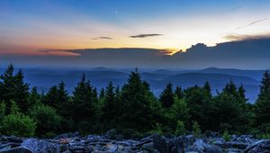 Preview wallpaper spruce, trees, moon, stones, dusk