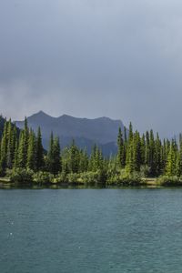 Preview wallpaper spruce, trees, mountains, lake, sky
