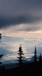 Preview wallpaper spruce, trees, mountains, snowy, distance