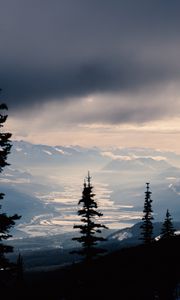 Preview wallpaper spruce, trees, mountains, snowy, distance