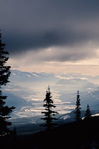 Preview wallpaper spruce, trees, mountains, snowy, distance