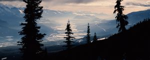 Preview wallpaper spruce, trees, mountains, snowy, distance