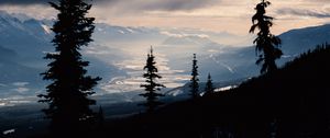 Preview wallpaper spruce, trees, mountains, snowy, distance