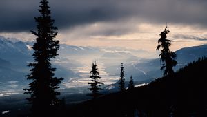 Preview wallpaper spruce, trees, mountains, snowy, distance