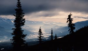 Preview wallpaper spruce, trees, mountains, snowy, distance