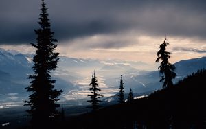 Preview wallpaper spruce, trees, mountains, snowy, distance