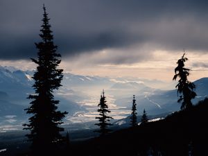 Preview wallpaper spruce, trees, mountains, snowy, distance