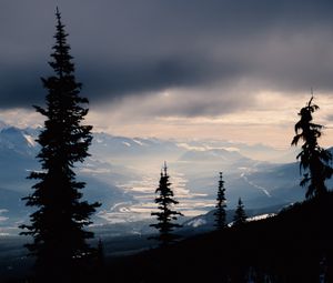 Preview wallpaper spruce, trees, mountains, snowy, distance