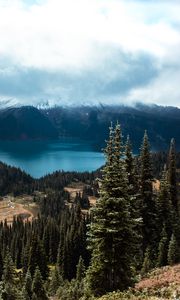 Preview wallpaper spruce, trees, mountains, distance, clouds