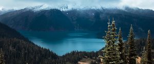Preview wallpaper spruce, trees, mountains, distance, clouds