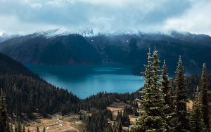 Preview wallpaper spruce, trees, mountains, distance, clouds