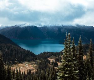 Preview wallpaper spruce, trees, mountains, distance, clouds