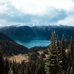 Preview wallpaper spruce, trees, mountains, distance, clouds