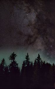 Preview wallpaper spruce, trees, night, starry sky, stars, nebula