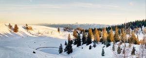 Preview wallpaper spruce, trees, snow, snowy, mountains