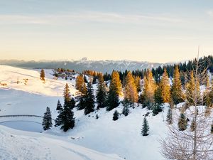 Preview wallpaper spruce, trees, snow, snowy, mountains